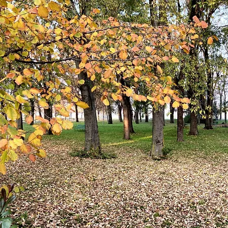 Maison Pallavicini 博洛尼亚