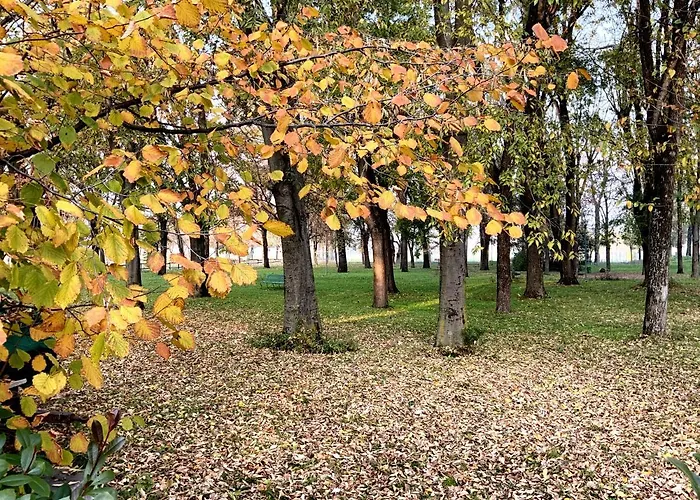 Maison Pallavicini Болонья